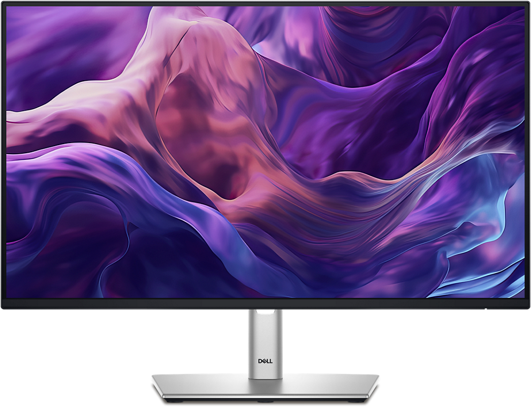 Dell P2425H 24" 100Hz 1080p FHD Flat Antiglare IPS Panel Monitor
