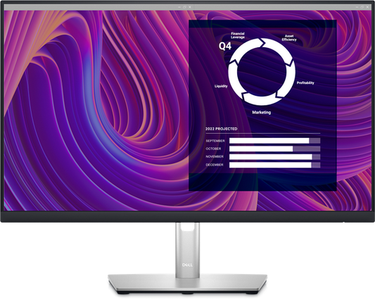 Dell P2423D 24" QHD 60Hz 5ms IPS Professional Monitor